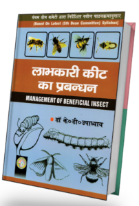 Read more about the article Neque adipiscing an cursus