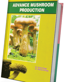 Advance mushroom production
